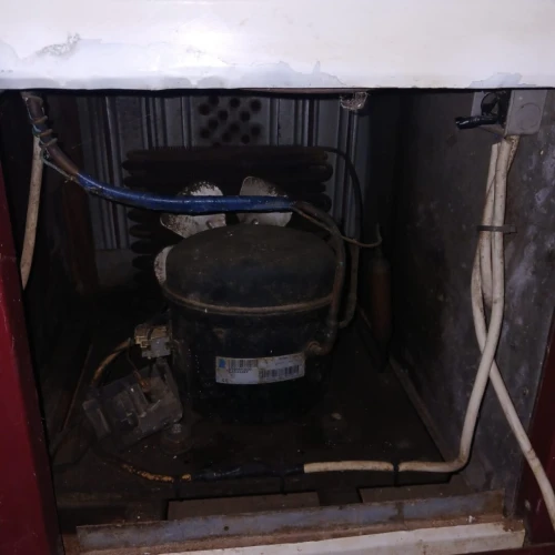 Frigo