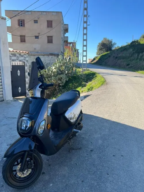Vms Cuxi estate x 2024