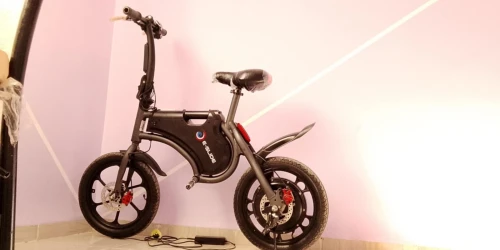 Scooter Scooter 2024