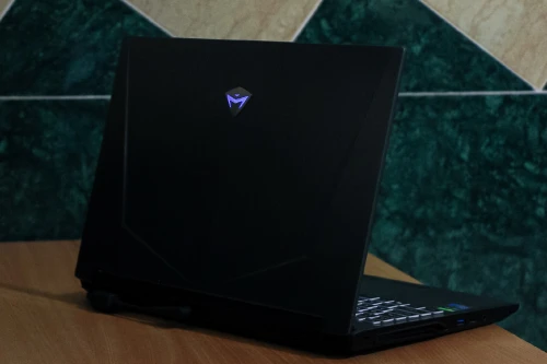BEASTLY Machenike Gaming Laptop | i7-10870H | GTX 1650 Ti | 24GB RAM