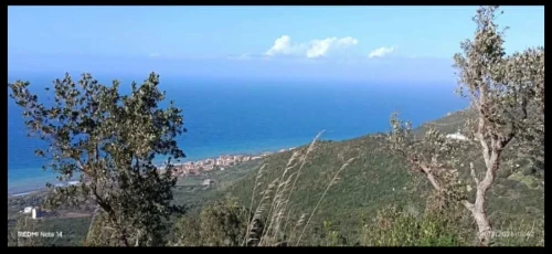 Vente Terrain Béjaïa Beni ksila