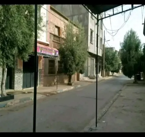 Vente Local Aïn Témouchent Ain el arbaa