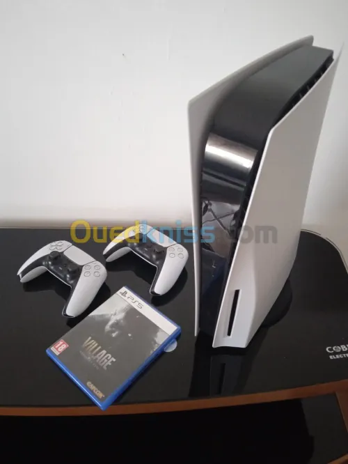 PS4 Slim & PS5 Fat 