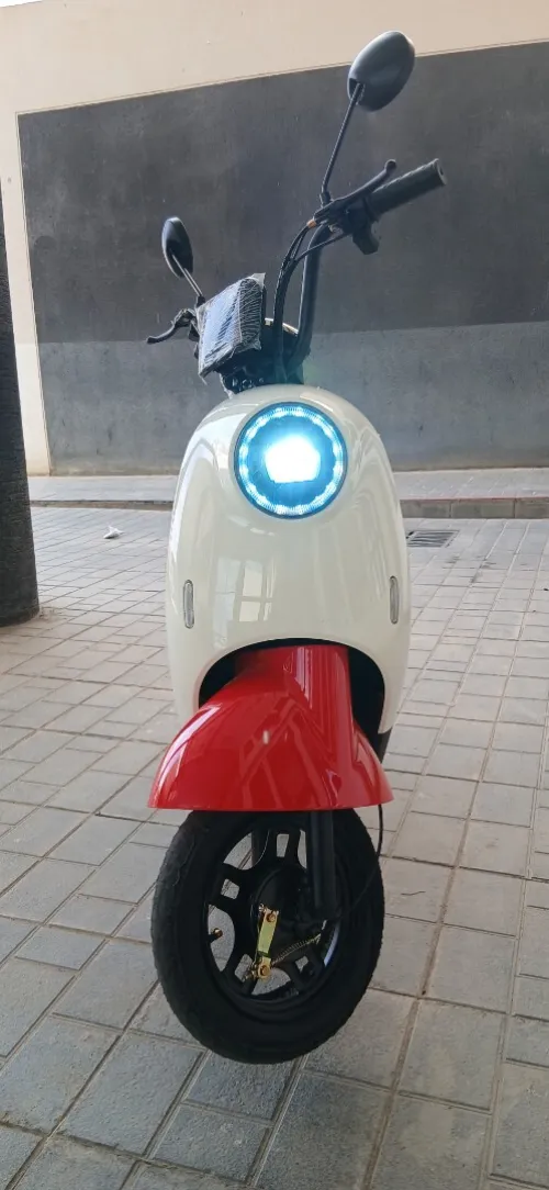 Neo Neo gicin 