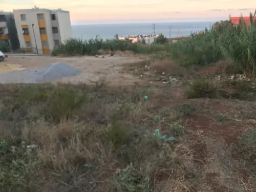 Vente Terrain Tipaza Cherchell