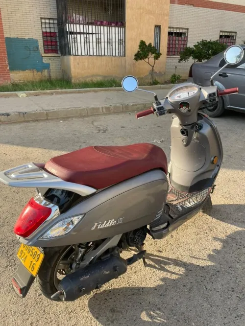 Sym Fidlle3 2024