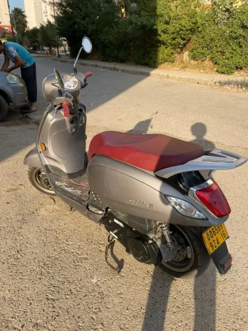 Sym Fidlle3 2024
