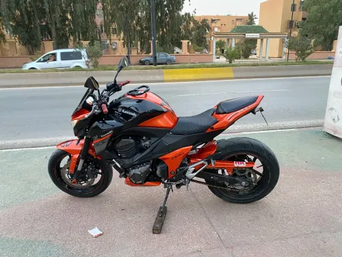 Z800R2013 Z800R 2013