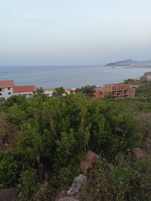 Vente Terrain Tizi Ouzou Mizrana