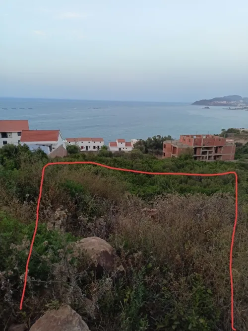 Vente Terrain Tizi Ouzou Mizrana
