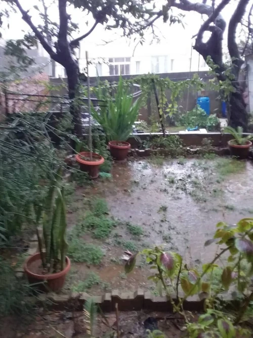 Vente Terrain Alger El madania