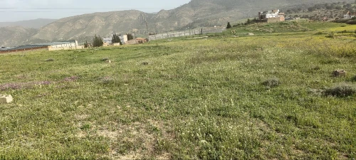 Vente Terrain Batna Fesdis