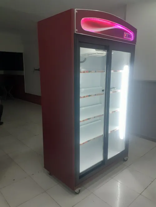 Frigo 1.20 m deus portes