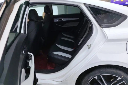 Geely Binrui Cool 2025 Champion Edition