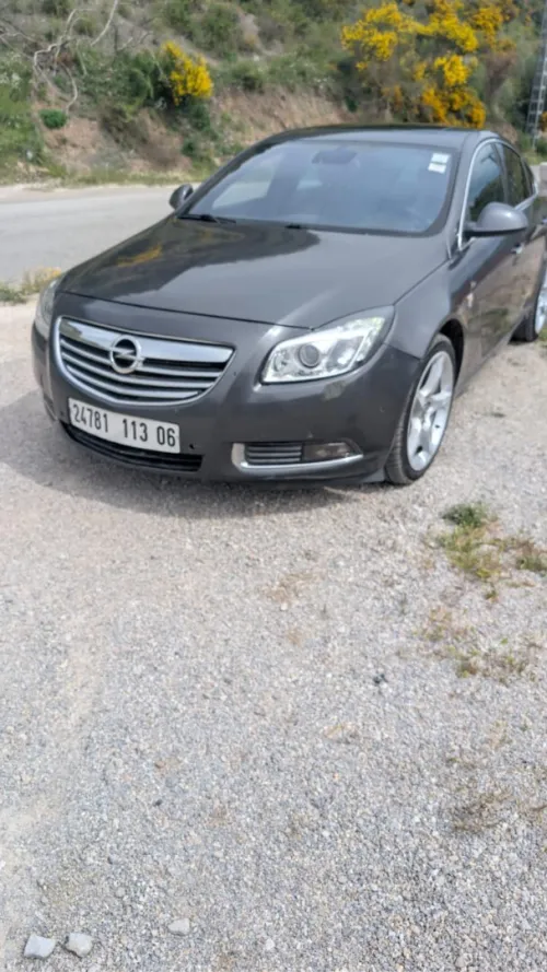 Opel Insignia 2013 OPC