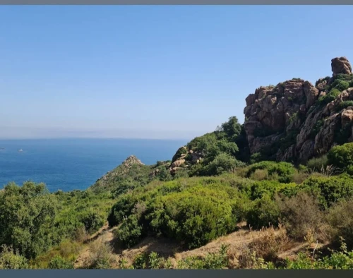 Vente Terrain Béjaïa Beni ksila
