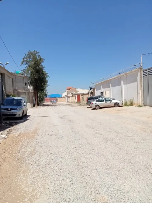 Vente Terrain Boumerdes Hammedi