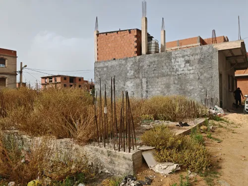 Vente Terrain Tipaza Fouka