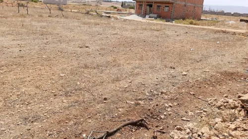 Vente Terrain Tlemcen Zenata