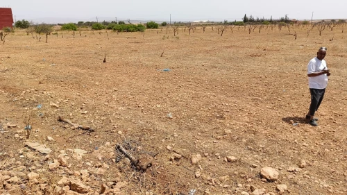Vente Terrain Tlemcen Zenata