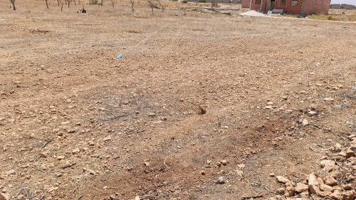 Vente Terrain Tlemcen Zenata