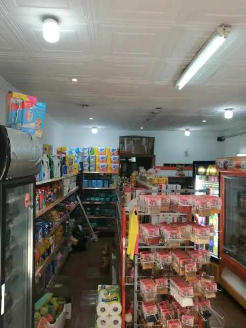 Location Local Alger Alger centre