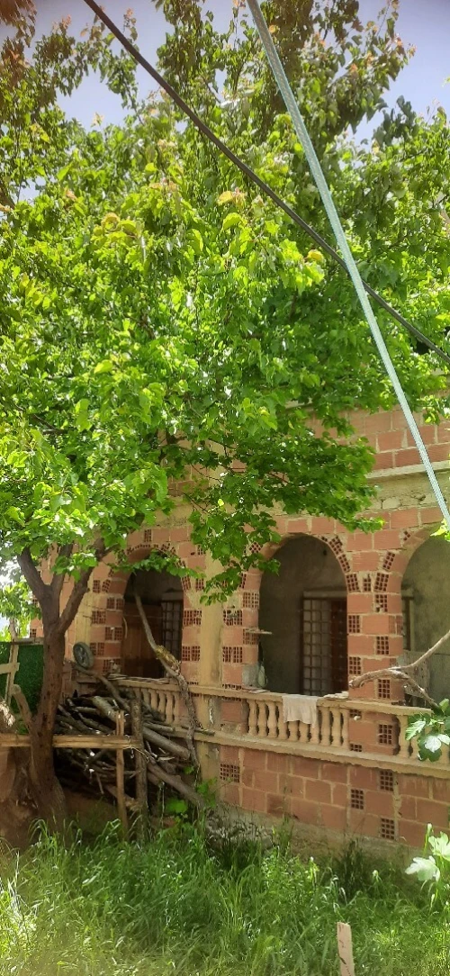 Vente Villa Batna Arris