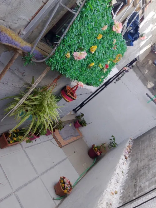 Vente Appartement Studio Boumerdès Boumerdes