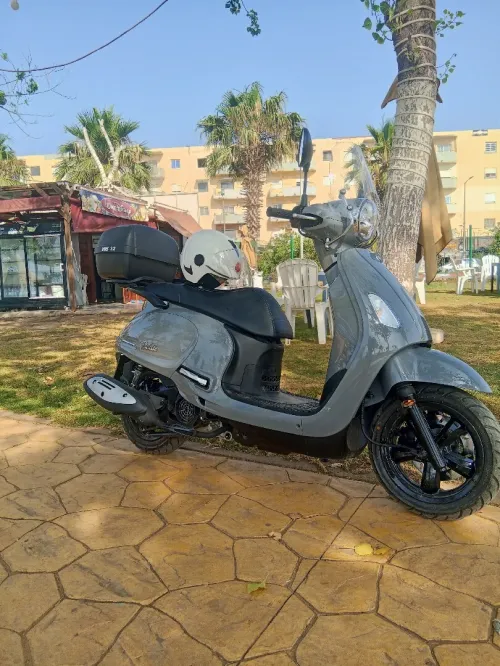 sym fiddl 4 2025