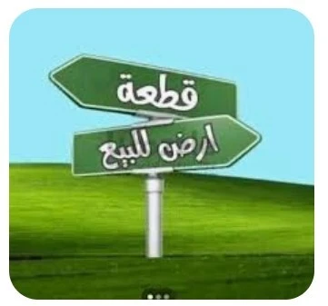 Vente Terrain Chlef Ain merane