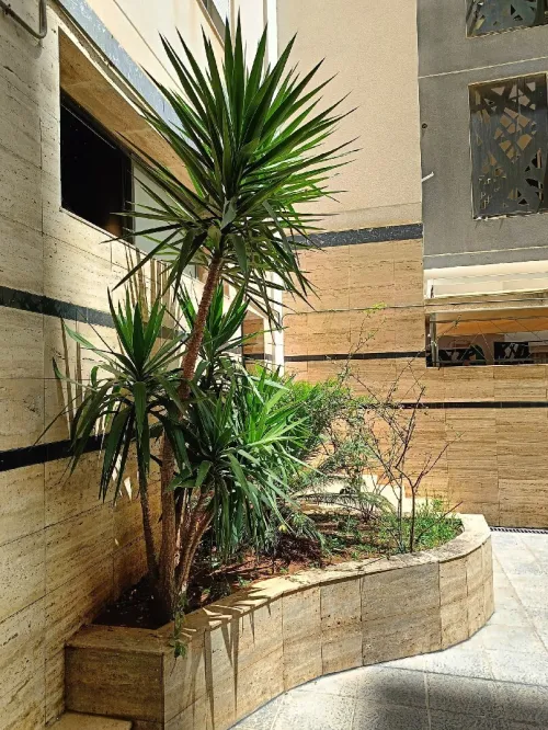 Location Villa Alger El biar