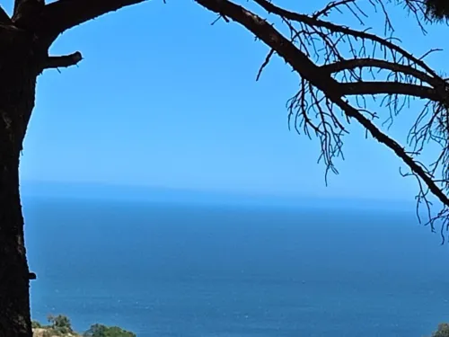 Vente Villa Alger El biar