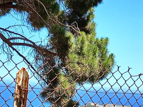 Vente Villa Alger El biar