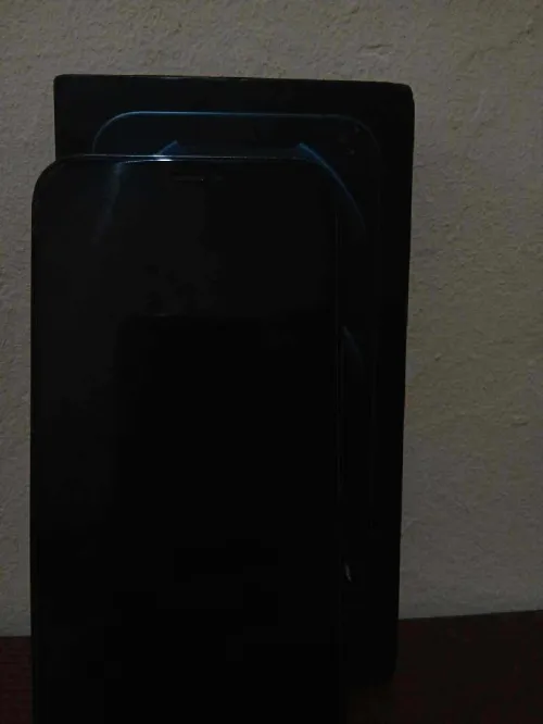 iphon 12 pro max