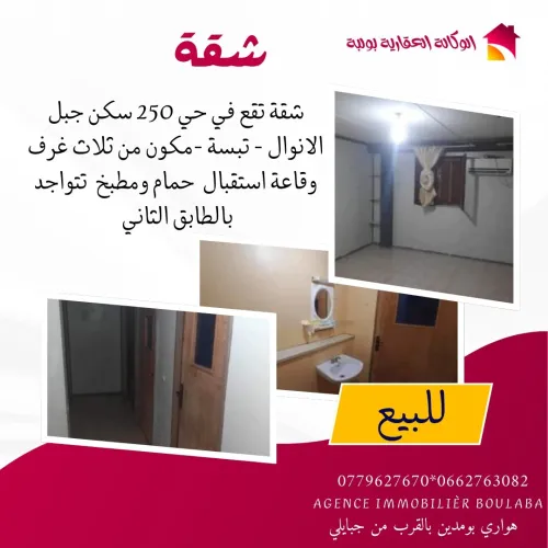 Vente Appartement F4 Tébessa Tebessa