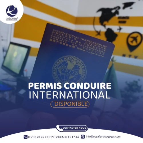 Permis de conduire International 10 ans
