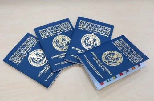 Permis de conduire International 10 ans