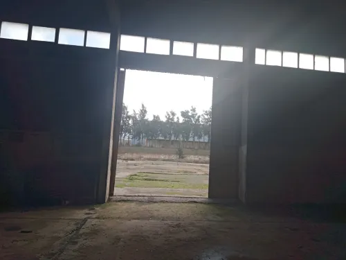 Location Hangar - Usine Médéa Berrouaghia