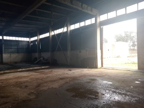 Location Hangar - Usine Médéa Berrouaghia