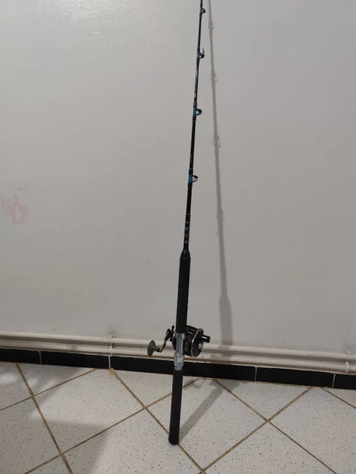 canne à pêche