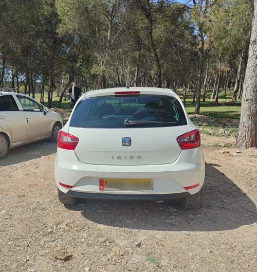 Seat Ibiza 2013 Fully