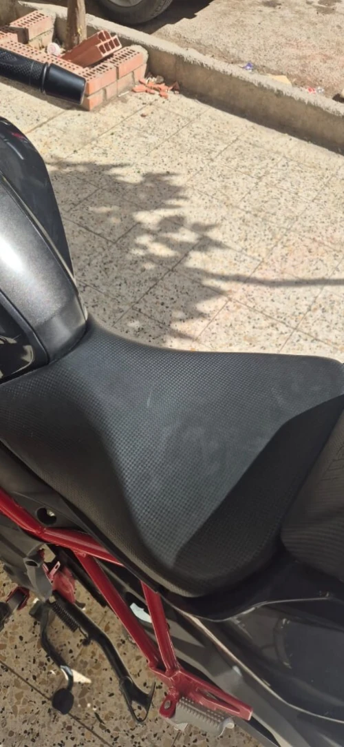 Benelli TNT 2022