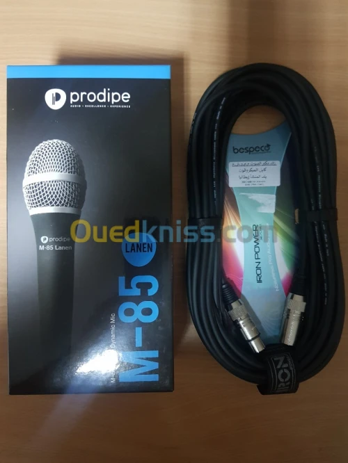 MICROPHONE + câble 10M  