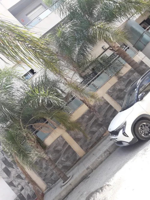 Vente Appartement F3 Alger Baba hassen