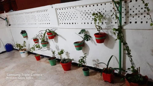 Vente Villa Alger Birkhadem