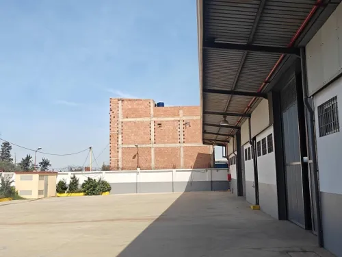 Location Hangar Blida Meftah