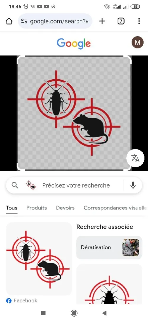 Zéro rats  Zéro cafards 