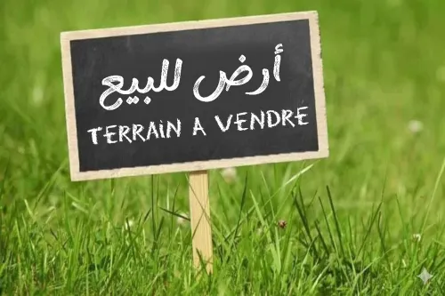 Vente Terrain Tipaza Kolea