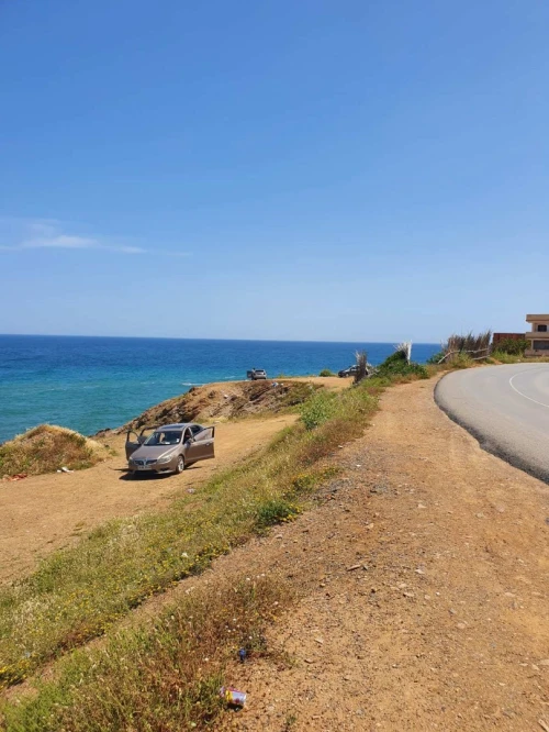 Vente Terrain Tipaza Tipaza