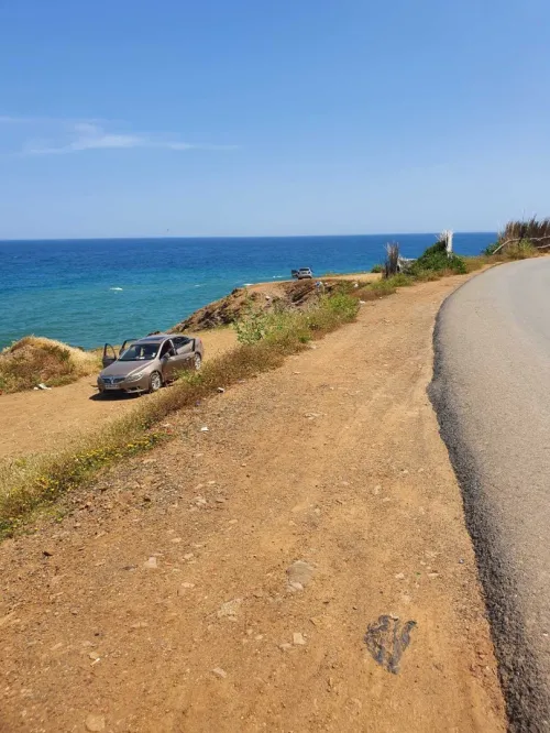 Vente Terrain Tipaza Tipaza